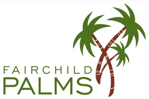 25% Discount: The Best Palm Code