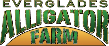 Alligator Encounter Up To 15% Discount