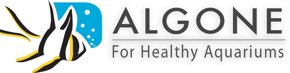 Algone Promotion