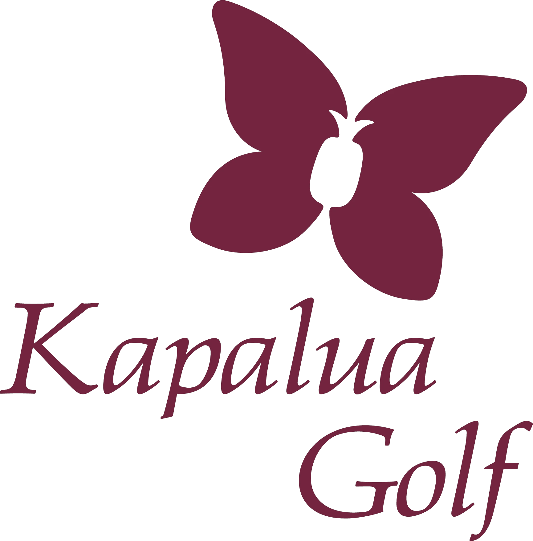 Tennis Private Instruction Just Starting At $35 At Kapalua Plantation Course