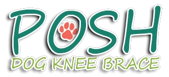 Dog Knee Brace Start At Just $945