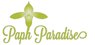 Paph Paradise Gift Card Just Starting At $25