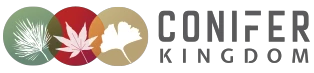 10% Off Any Order With Conifer Kingdom Discount Coupon