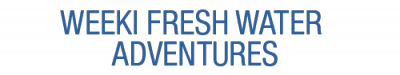 Weeki Wachee Promotion