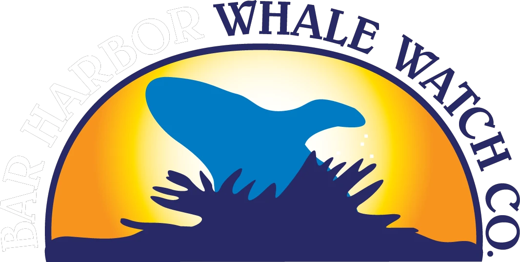 Up To 5% Saving Bar Harbor Lighthouse Boat Cruises