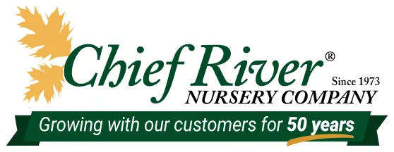 Chief River Nursery Promotion