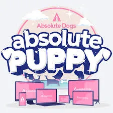 absolute-dogs.com