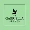 20% Saving Your Plant Order: The Best Gabriella Plants Discount Code