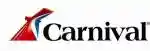Carnival New Year Sale