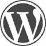 Grab Big Sales From WordPress